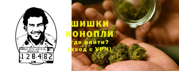 индика Пересвет