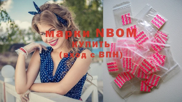 индика Пересвет