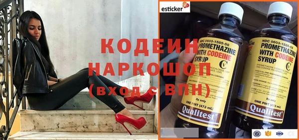 индика Пересвет