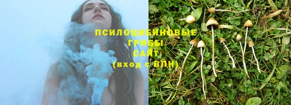 индика Пересвет