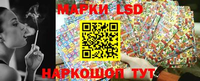 гидропоника Будённовск