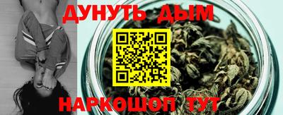 гидропоника Будённовск