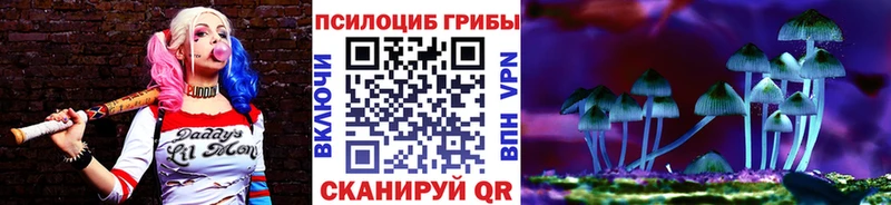 Псилоцибиновые грибы прущие грибы  Унеча 
