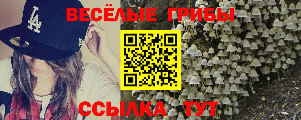 Псилоцибиновые грибы Psilocybe  даркнет сайт  Унеча  Вход с VPN 